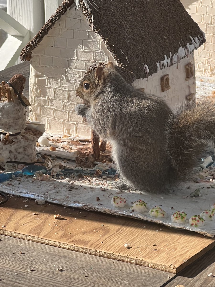 ginny kay durham tweet media