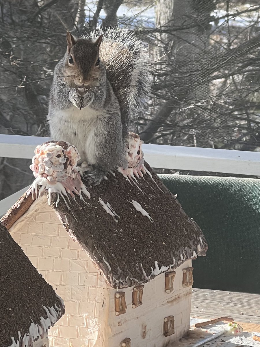 ginny kay durham tweet media