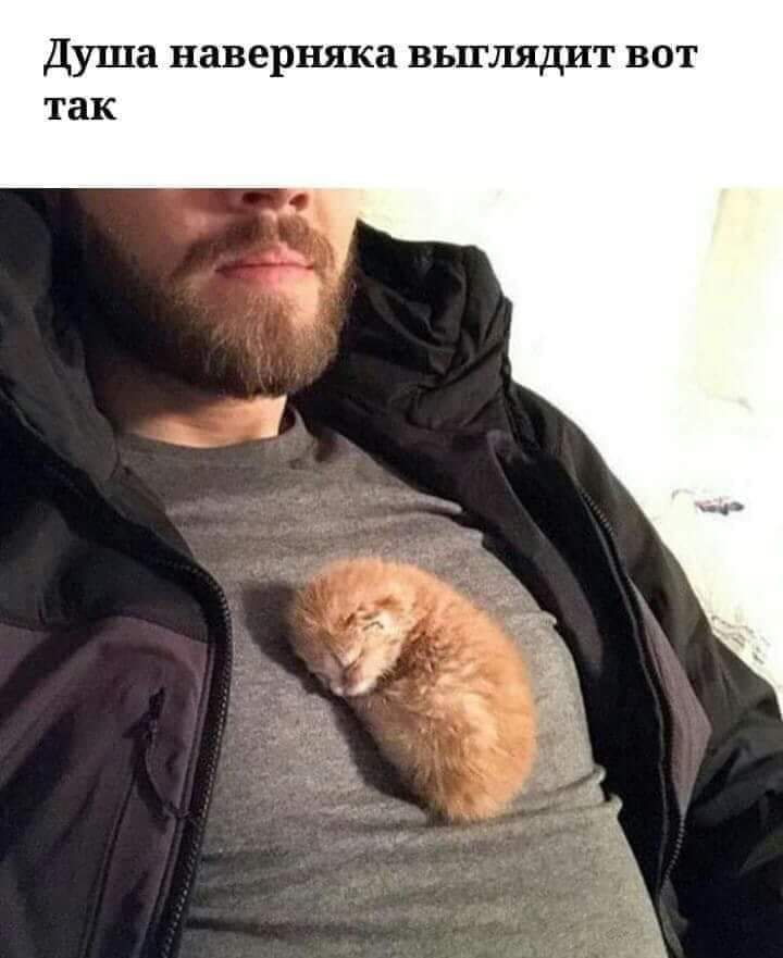 Влада (@semennicovav) on Twitter photo 