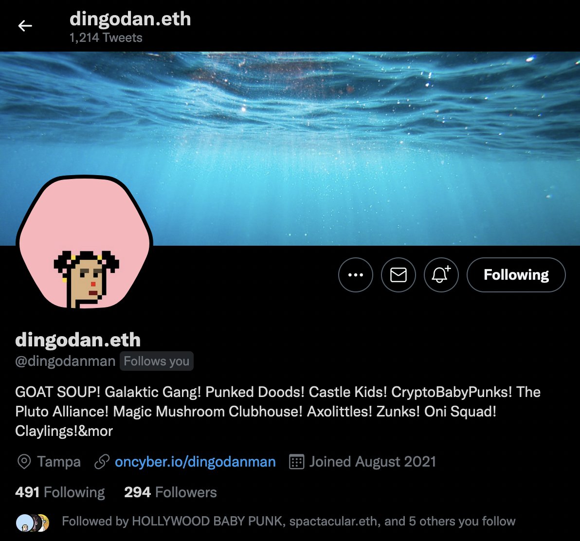 cryptobabypunks's tweet photo. ❤️ Is @dingodanman the first @TwitterBlue HexBabyPunks pfp? 🙏🍼
@Twitter #NFTPFP #CryptoBabyPunks https://t.co/brFDcWEpI6