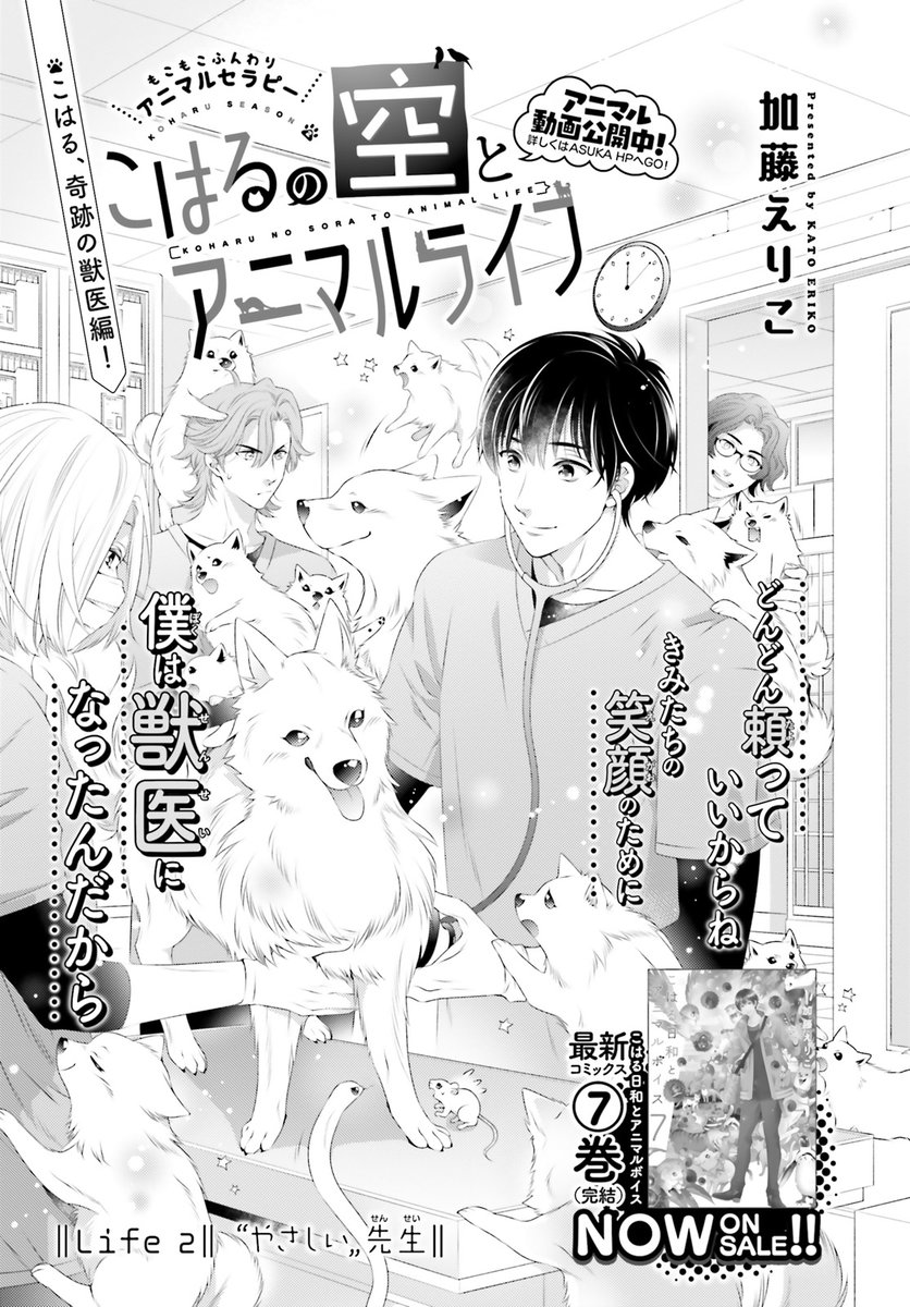#こはるの空とアニマルライフ #加藤えりこ #ASUKA3月号 前シリーズ『こはる日和とアニマルボイス』全7巻、好評発売中! 