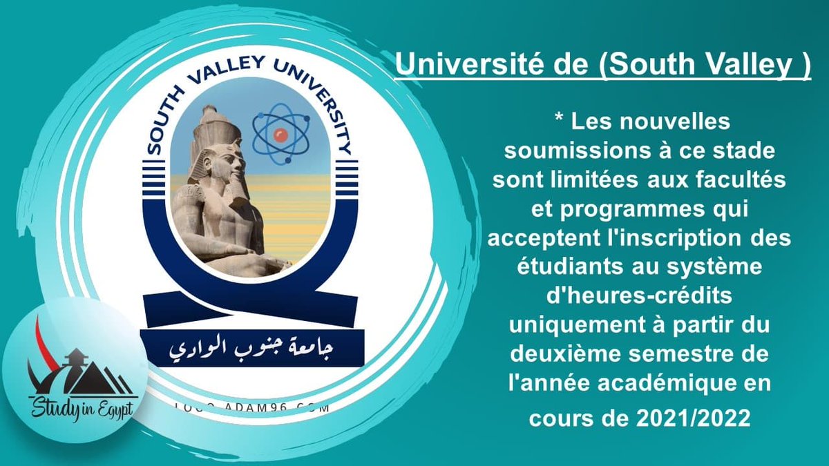 Study in Egypt Wafeden tweet media