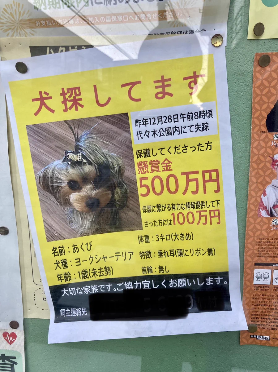 迷子犬保護してくれたら500万円！懸賞金の額がすごいが大切な存在なのは間違いない。