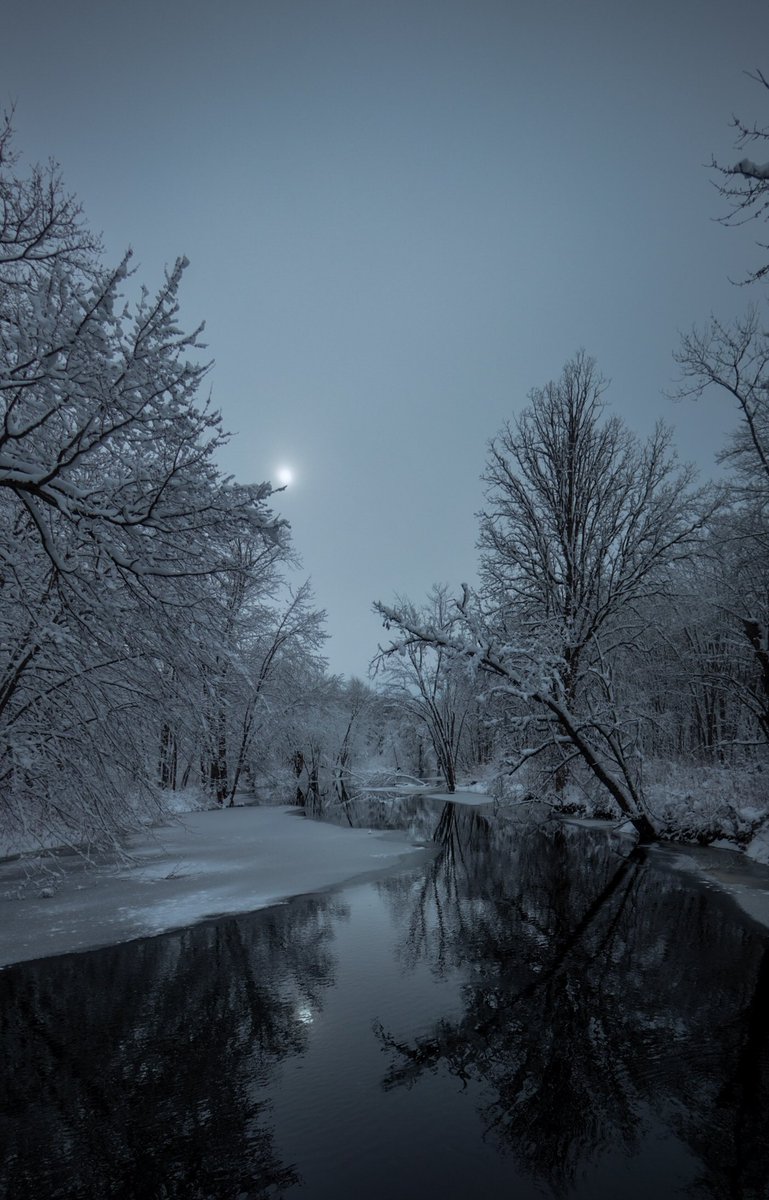 LokiHighlock's tweet photo. Suns of winter https://t.co/sNqlqxrve4