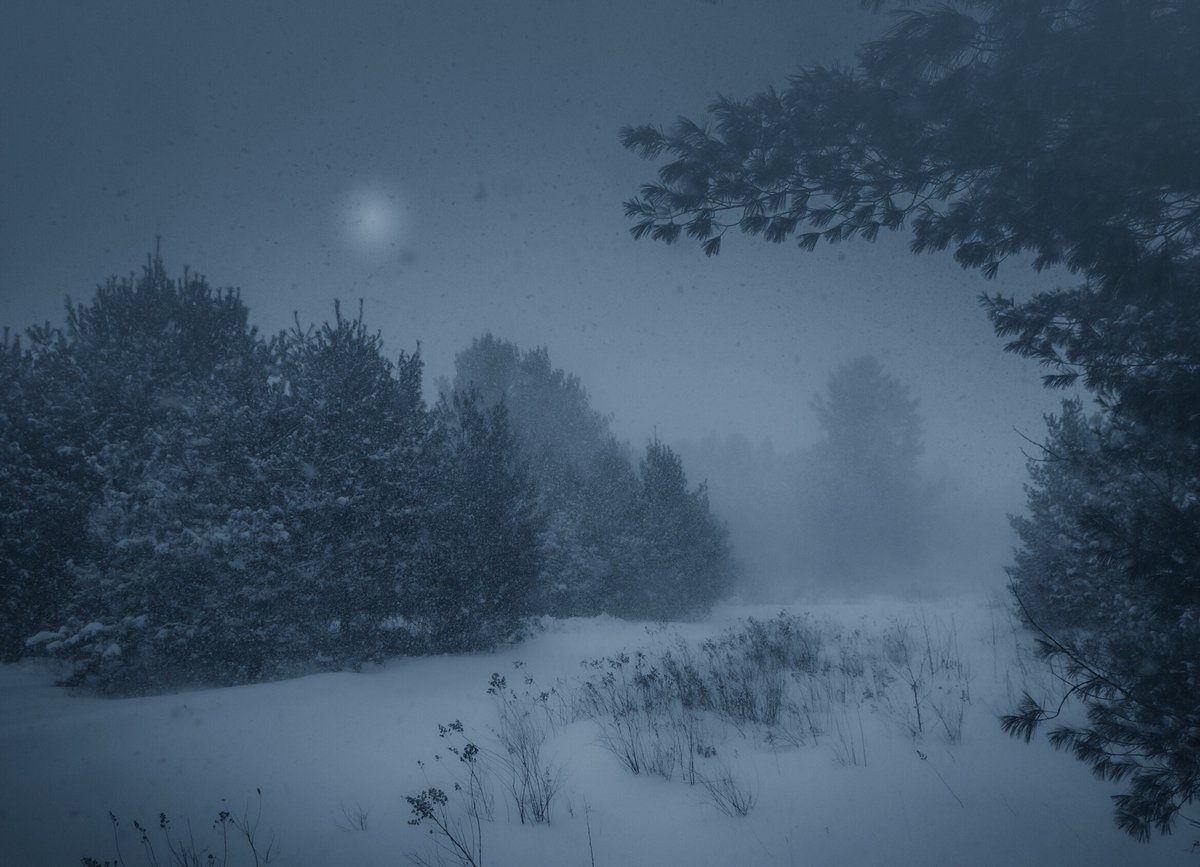 LokiHighlock's tweet photo. Suns of winter https://t.co/sNqlqxrve4