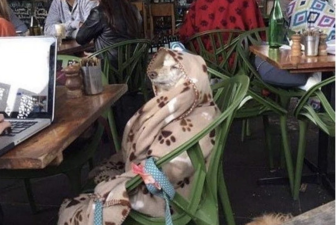 Guarromantico_'s tweet image. Domingo, pero a que costo.