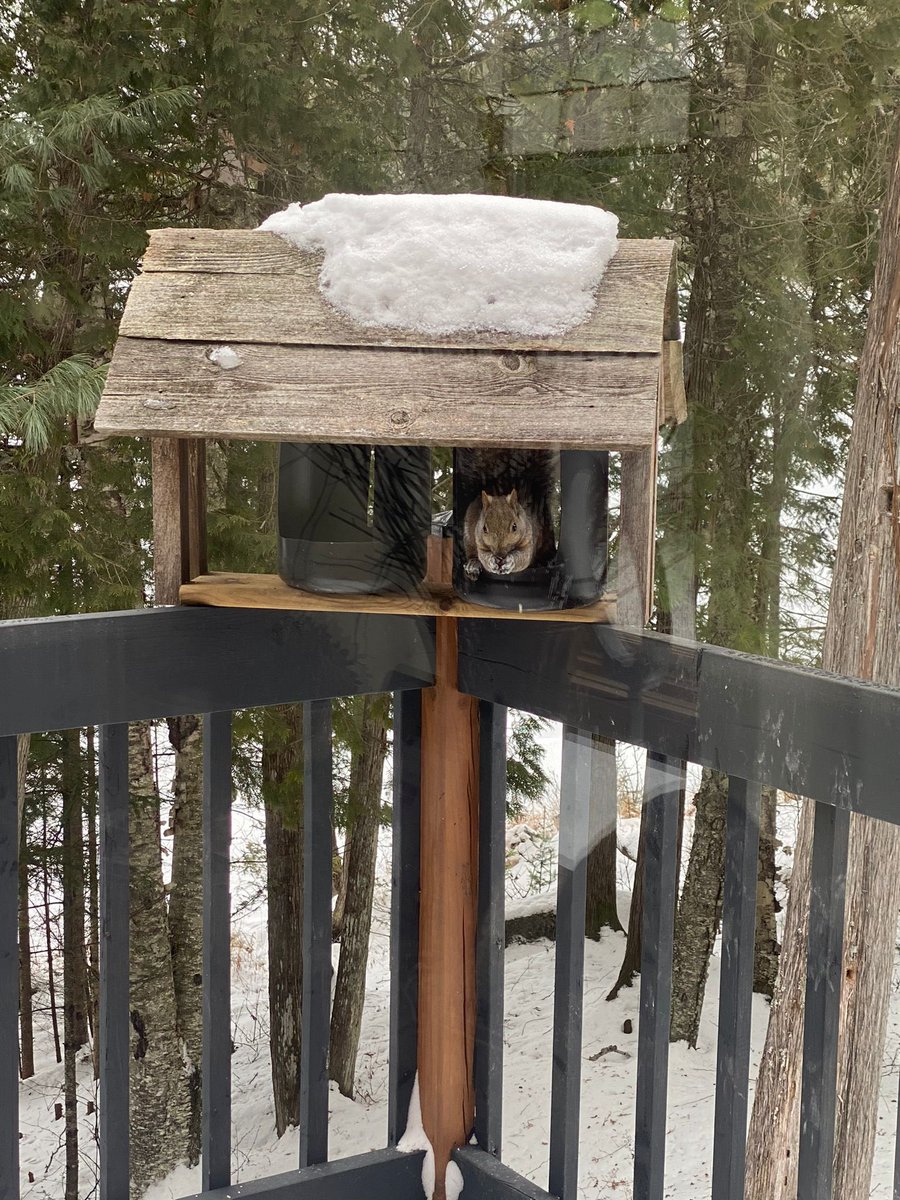 Tahmor Ghumman tweet media