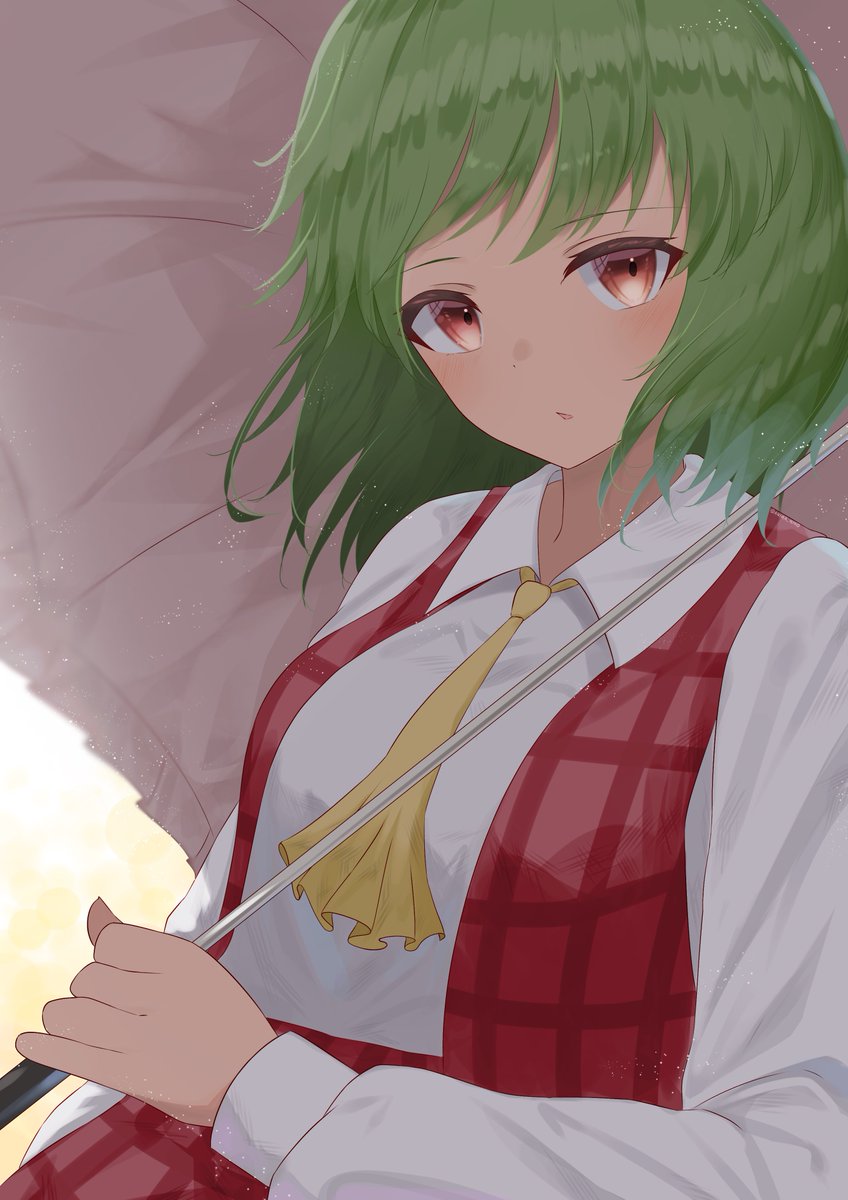 kazami yuuka 1girl solo green hair umbrella ascot red eyes vest  illustration images