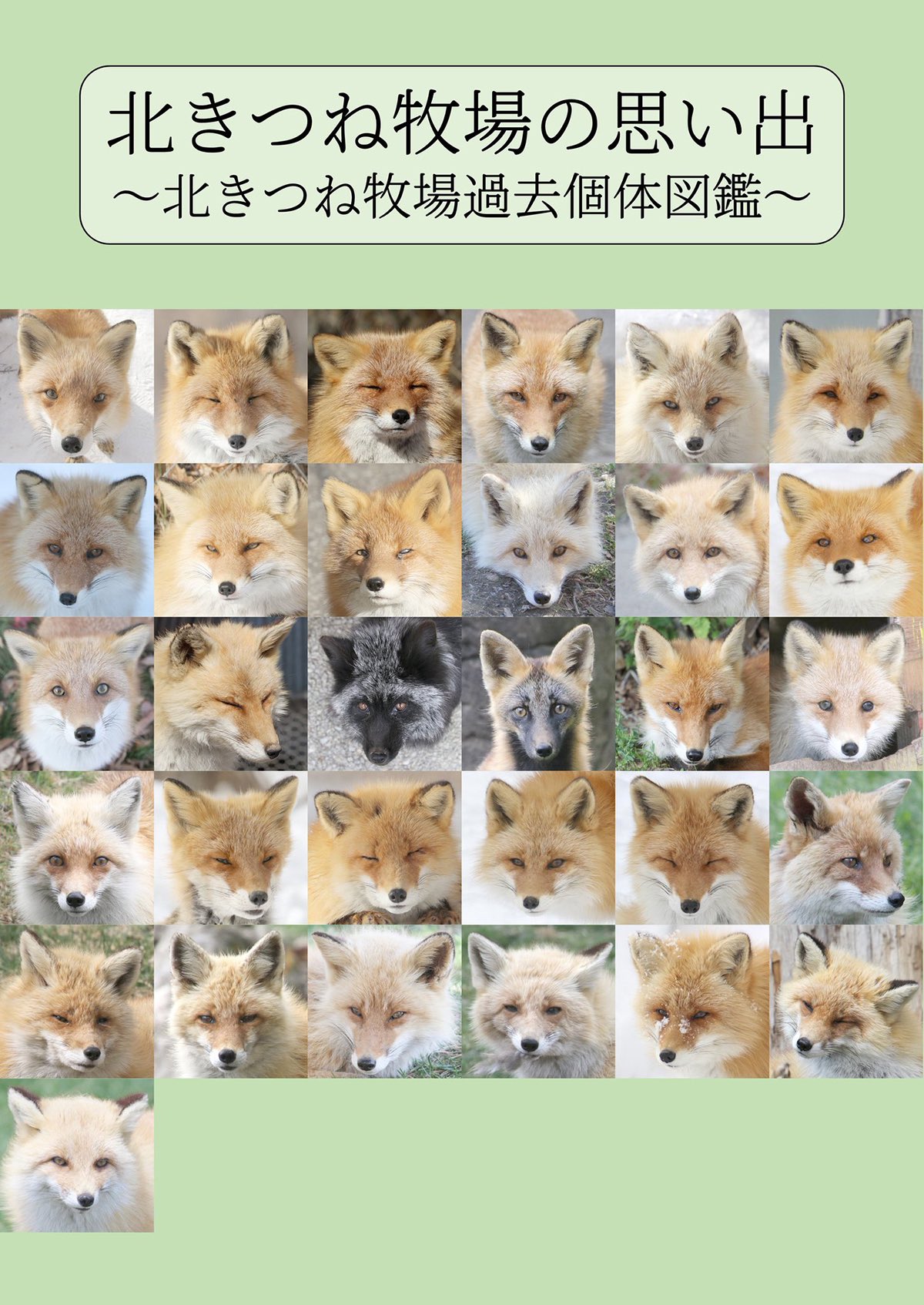 北きつね出品 北きつね牧場【公式】 on X: 