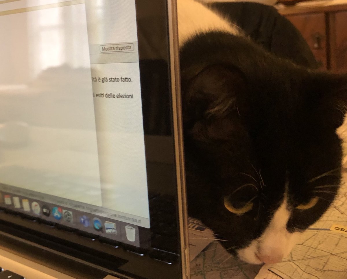 Io e #mau siamo in #Smartworking.