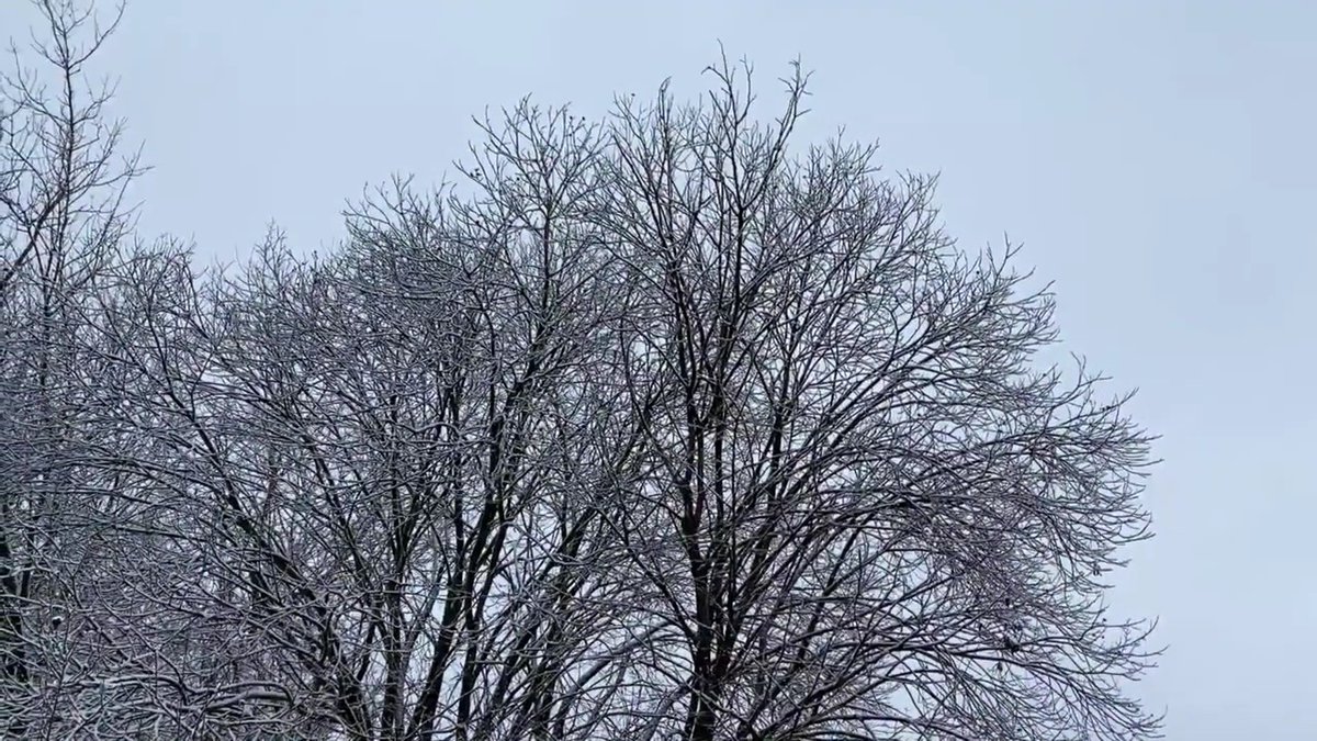 Moumin Lovable (@lovablemoumin) on Twitter photo 