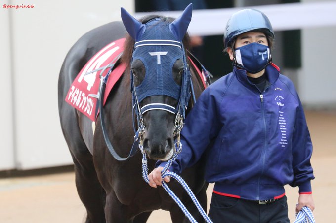 マイネルファンロン 22年1月23日 日 ツイ速まとめ