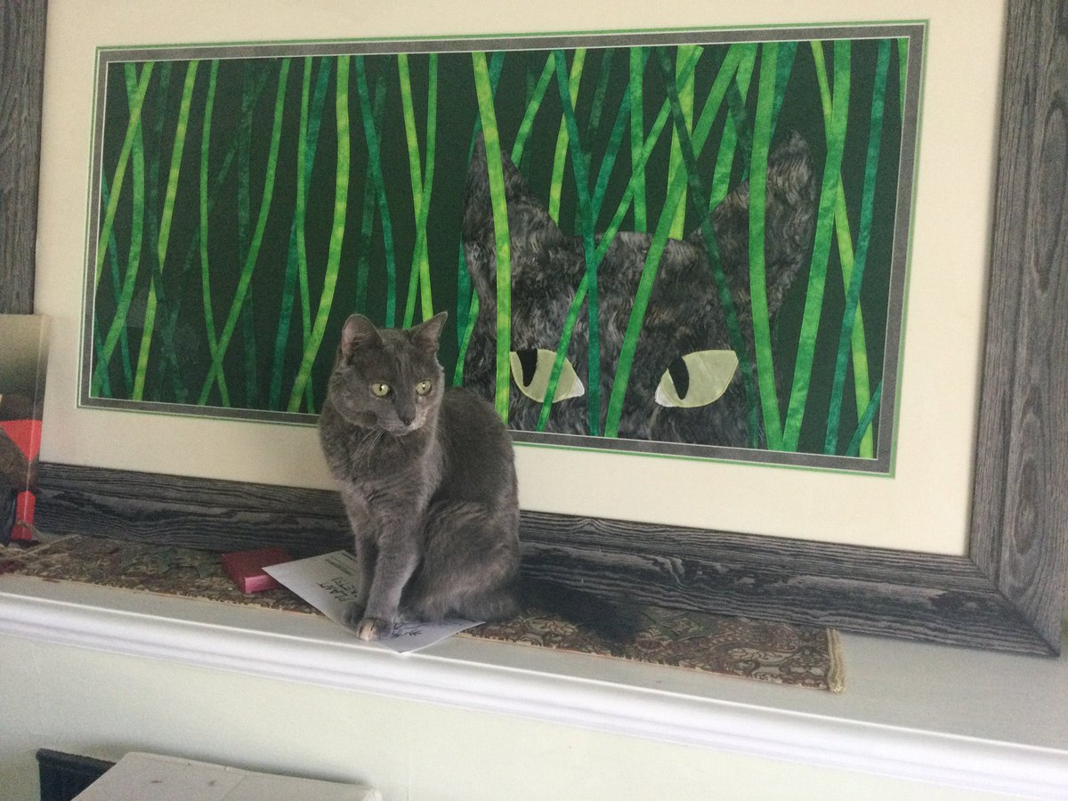 _We_Rate_Cats's tweet photo. This is Willow. She loves the portrait her human sewed of her. 13/10 I have a lot of questions but Willow u are a true muse! https://t.co/fFqHY0PpW7