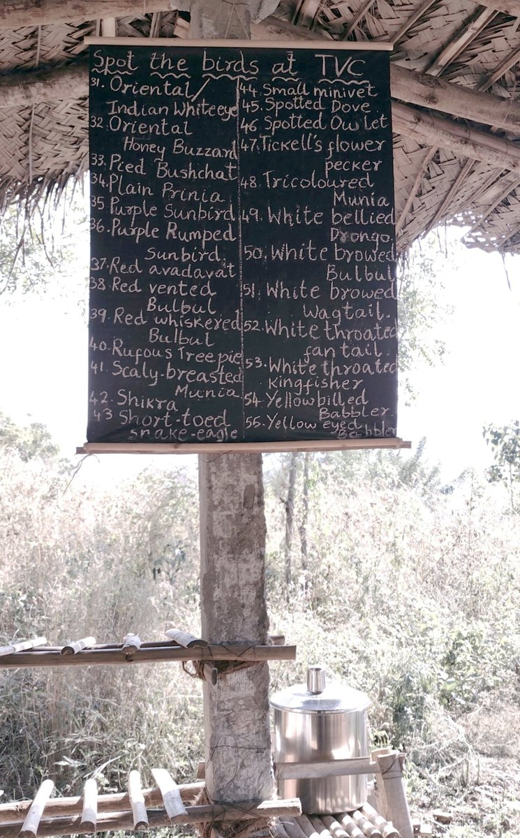 We're up to 55 bird species that we've seen at the farm. Snakes, elephants, wild boar as well. It's truly becoming home for so many as the landscape becomes richer!