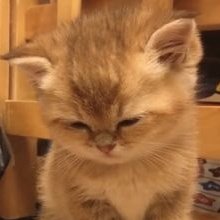 sleepy 😴
#Jungsu #정수