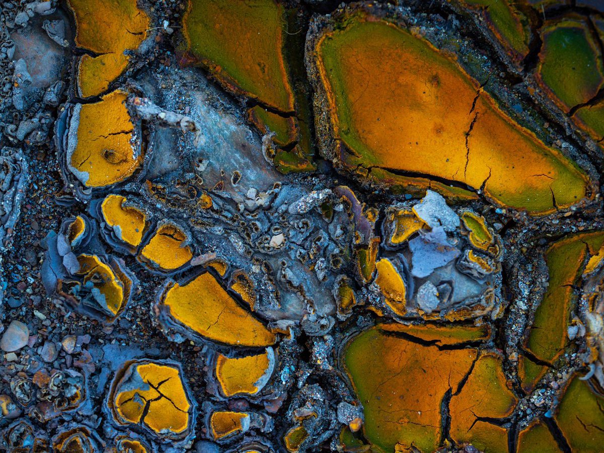 YjNature's tweet photo. Craqueados en el barro de río tinto 
Formaciones creadas al secarse el barro se cuartea y con los metales que hay en el río crea estos colores tan dispares

#nft #nftart #nftartist #nfts #nftcollector #nftcommunity #cryptoart #critoartist #nftphotography #nftanimation #digitalart https://t.co/Mp1cfwI8mH