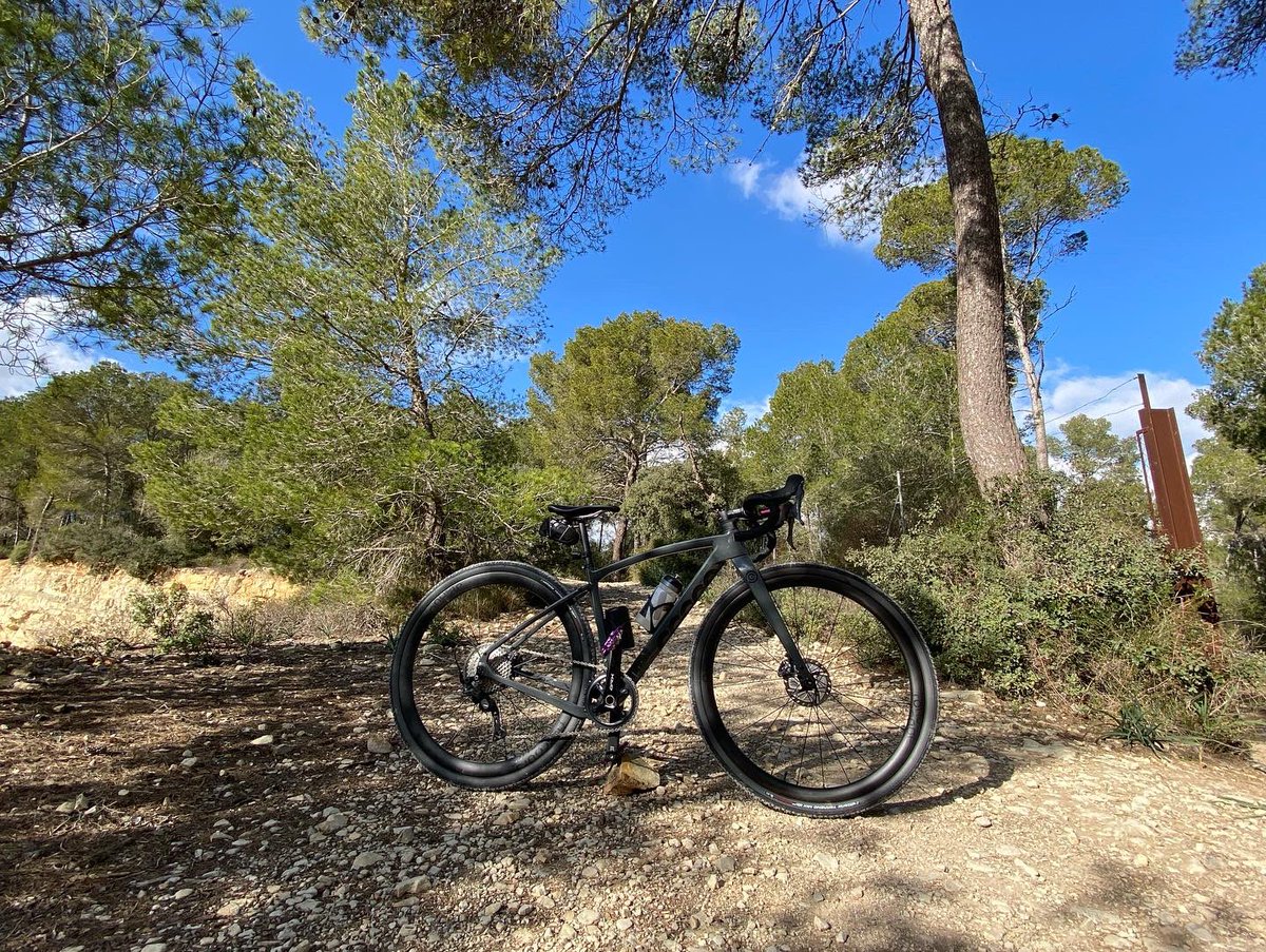 A very happy new bike day @ceepobike Rindo gravel…what have you done…truly an amazing ride. Light, responsive and smooth. Especially when paired with <a href="/rideparcours/">Parcours Velo</a> Ronde wheelset #lovemallorca #gravelridingmallorca #trispiritevents