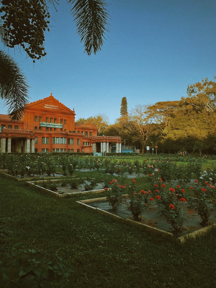 Joven Roy tweet media