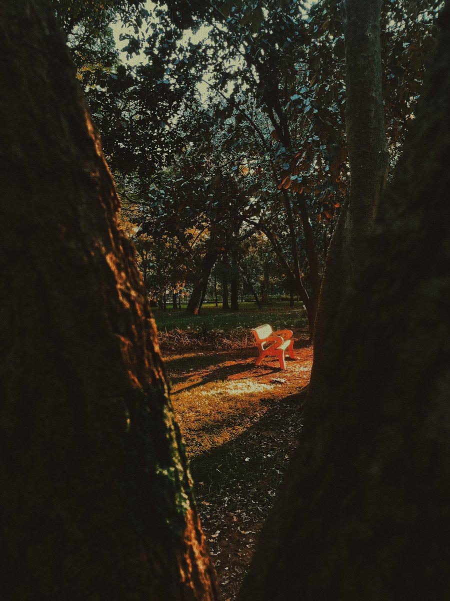 Joven Roy tweet media