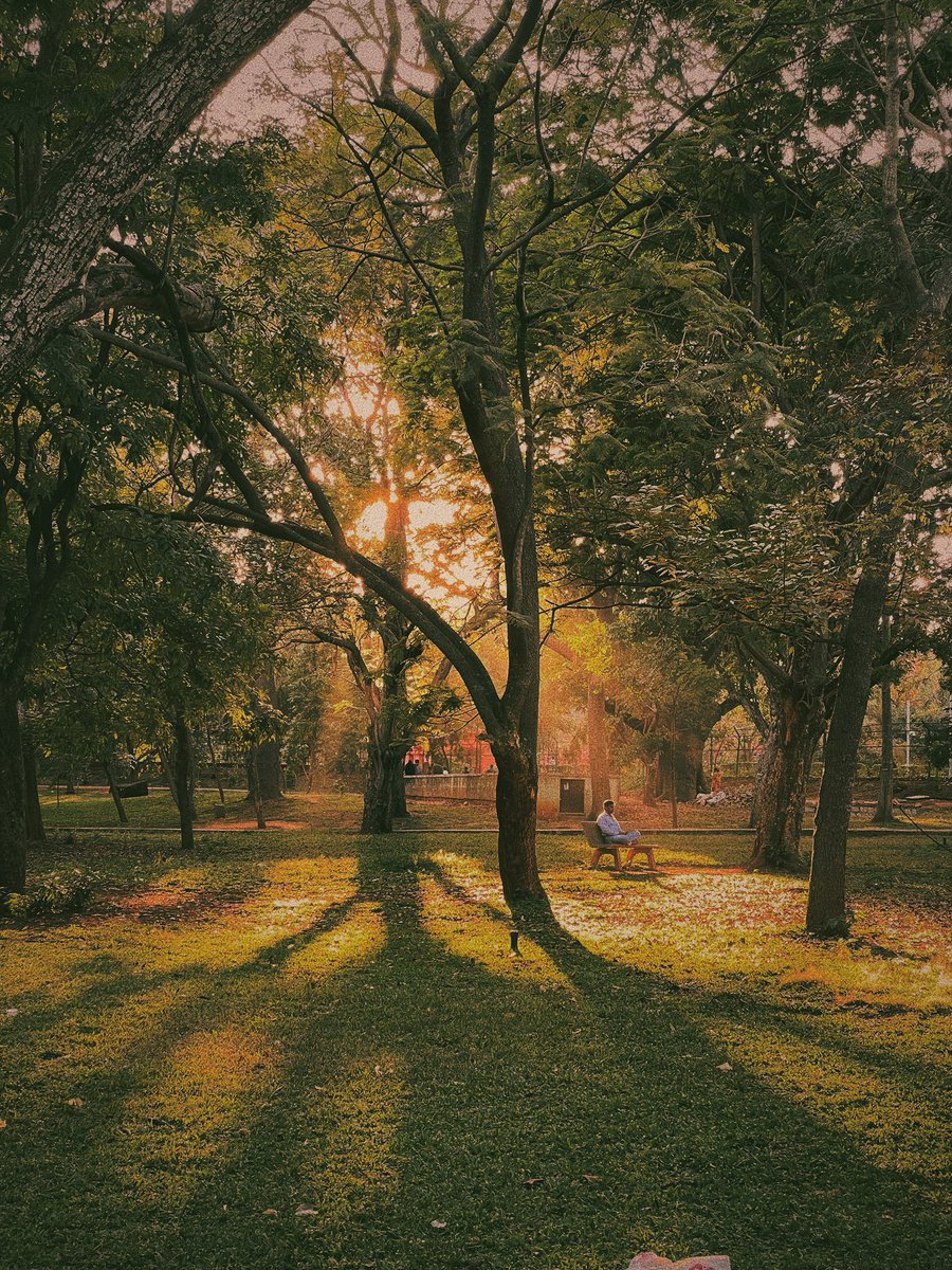 Joven Roy tweet media