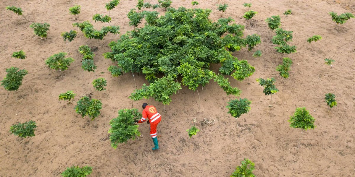 UNEP's tweet photo. We have 9️⃣ more years to restore the planet 

Healthier ecosystems 🌊 = healthier planet 🌎 = healthier people 👥

There has never been a more urgent need to revive damaged ecosystems than now. 

Join #GenerationRestoration:
https://t.co/H6MrgMCLd8 https://t.co/Nci5MOaXHx