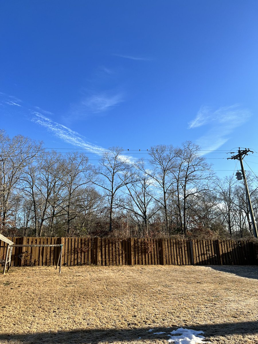バックヤードの雪もだいぶ溶けた❄️