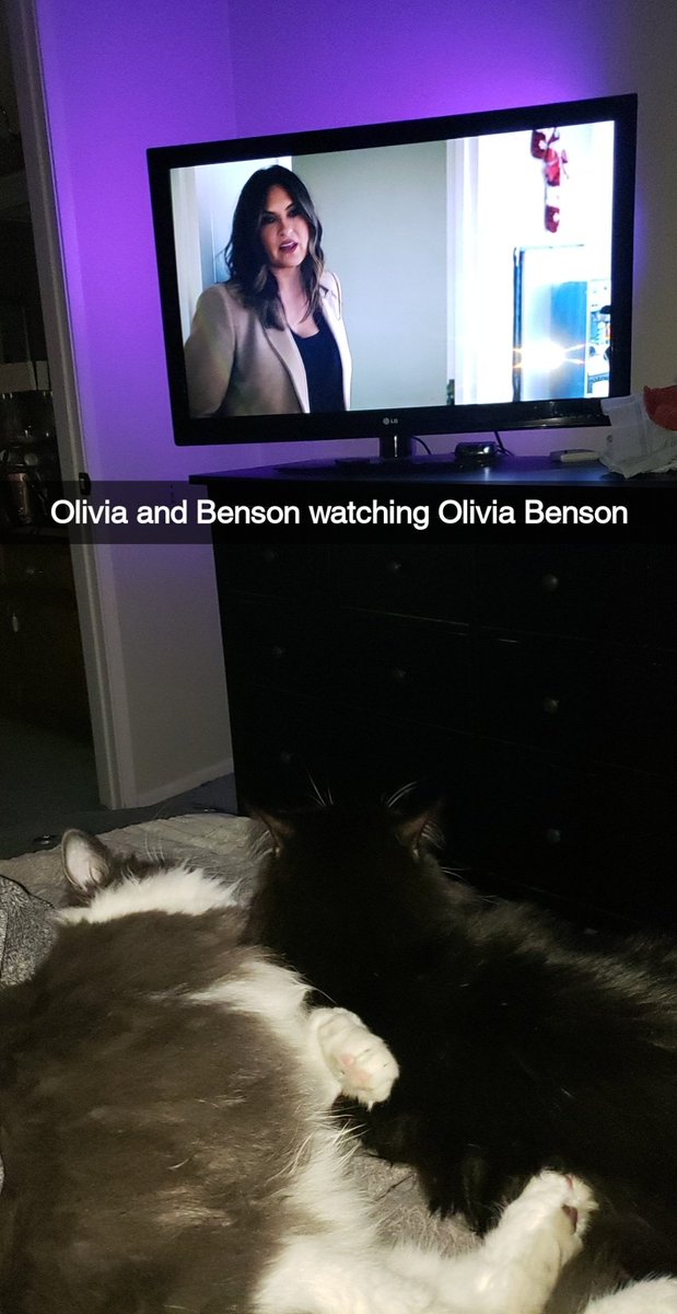 DispatchDisBish's tweet image. Happy birthday @Mariska from Olivia and Besnson