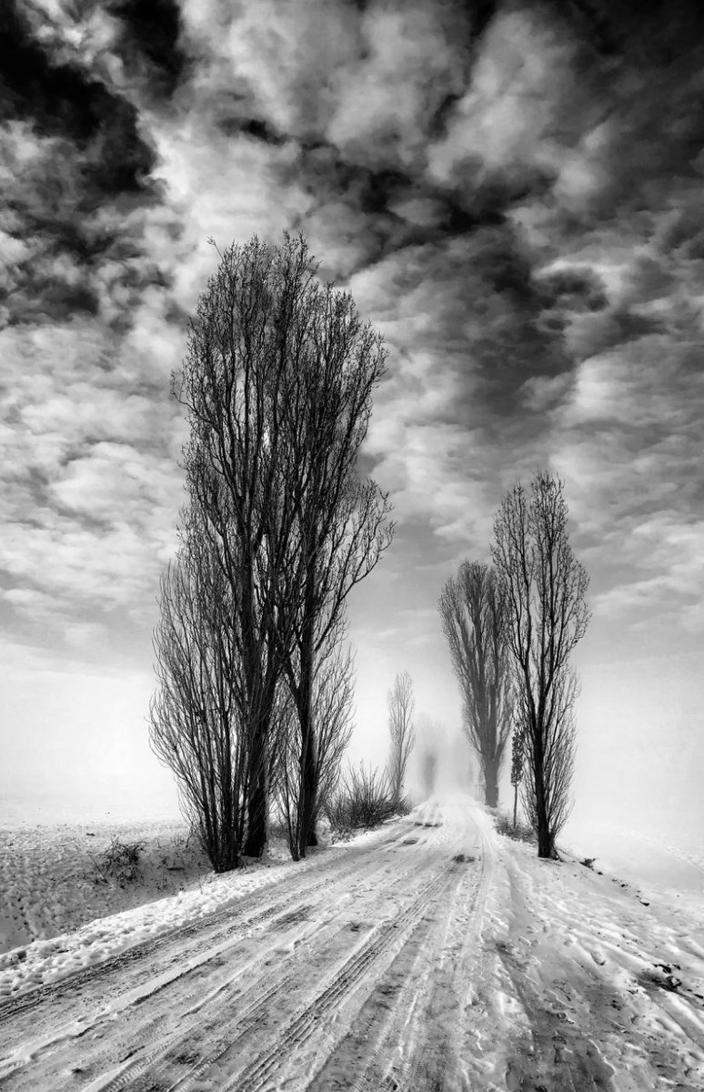 mind0rigami's tweet photo. Schnee von gestern …
Sozusagen. 

#landscape #photography https://t.co/33FEkr8qYS