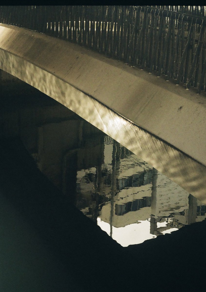 rbfilmphoto's tweet image. pen ft

#film #ハーフカメラ