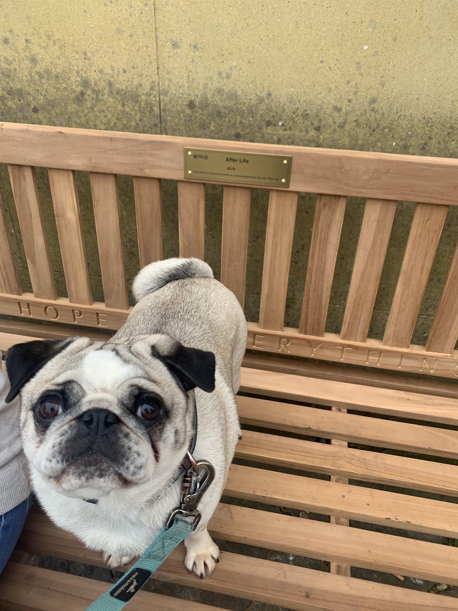 Charlotte Hodkin tweet media