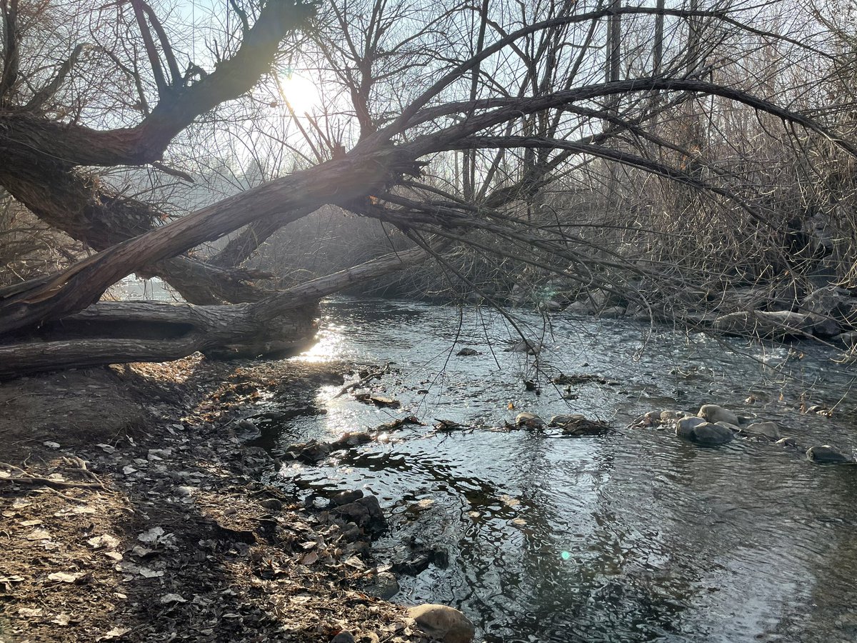 What are you grateful for today? ☀️