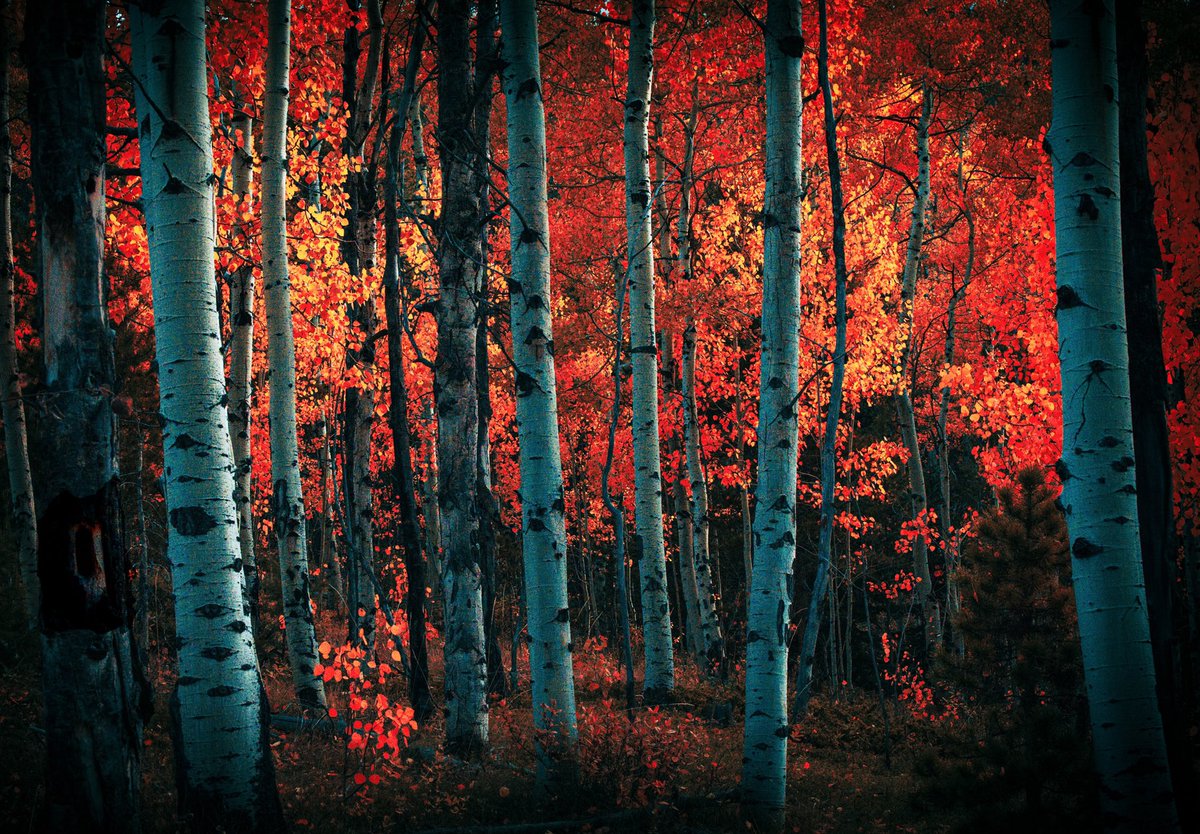 Through the forest.
#NaturePhotography