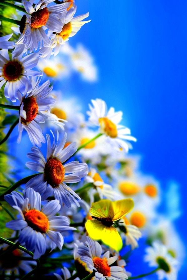 Thank you God for this beautiful afternoon and for everything you provide in my life!

I love you Lord my God!  
❤❤

Good afternoon here and blessings in your time wherever you are...🙏