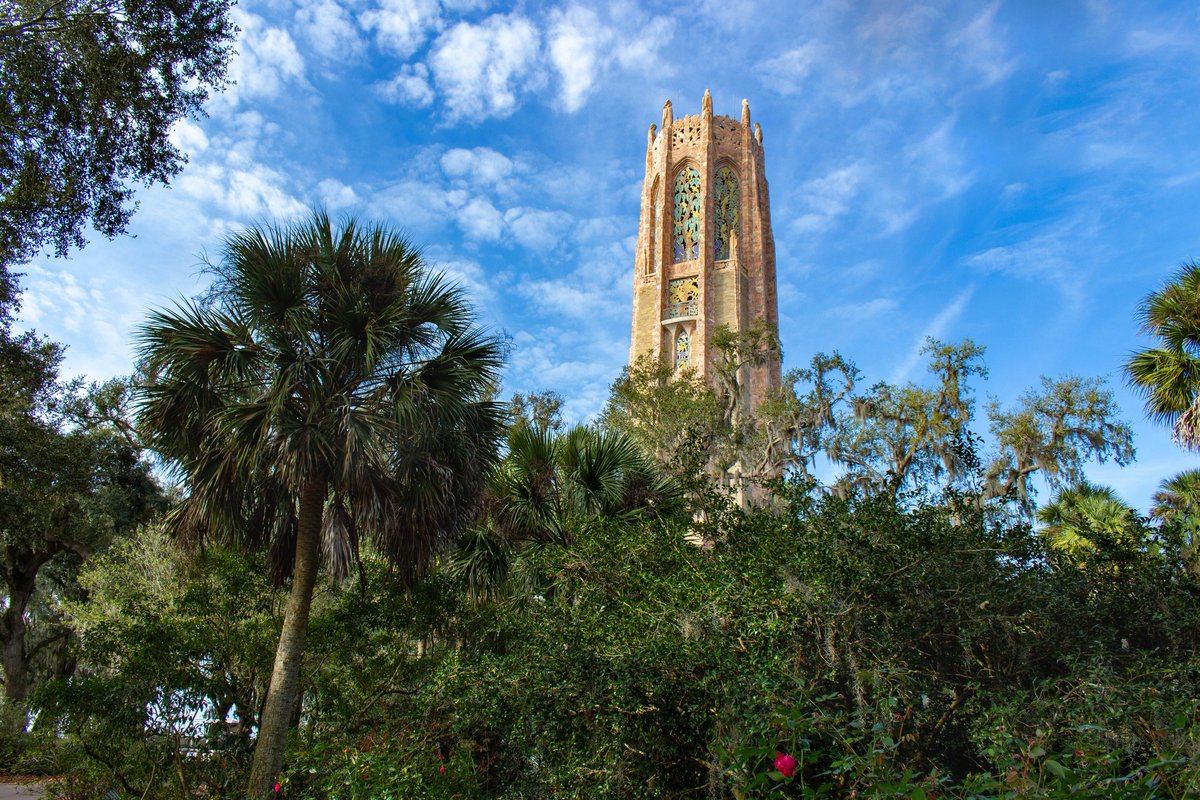 Welcome to Florida's hidden gem, Bok Tower Gardens 🌷🌱 50 acres of peace and serenity! Located in Lake Wales, there is tons of nature to see here. For those of you that love architecture, the 205-ft tower is a sight to see as well! 

📸: @boktowergardens