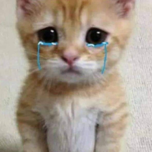 JeongYoonohXd's tweet photo. meu material escolar 2022 partiu #2ano 💔 https://t.co/pCLrHp4a14