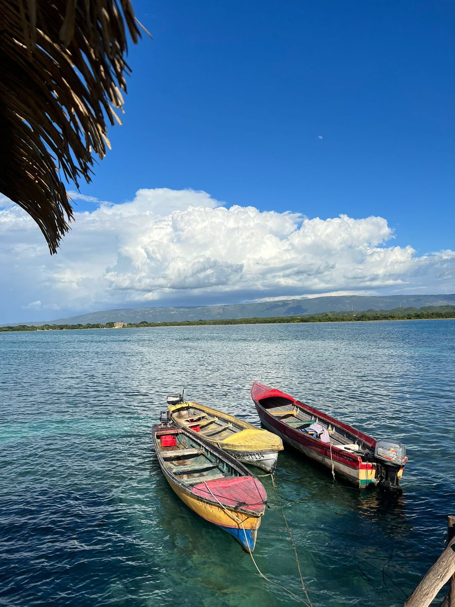 LauraHoneycomb's tweet image. #WorkTip let your team take the Christmas holidays so you can do this in January 😍😂🇯🇲🖤