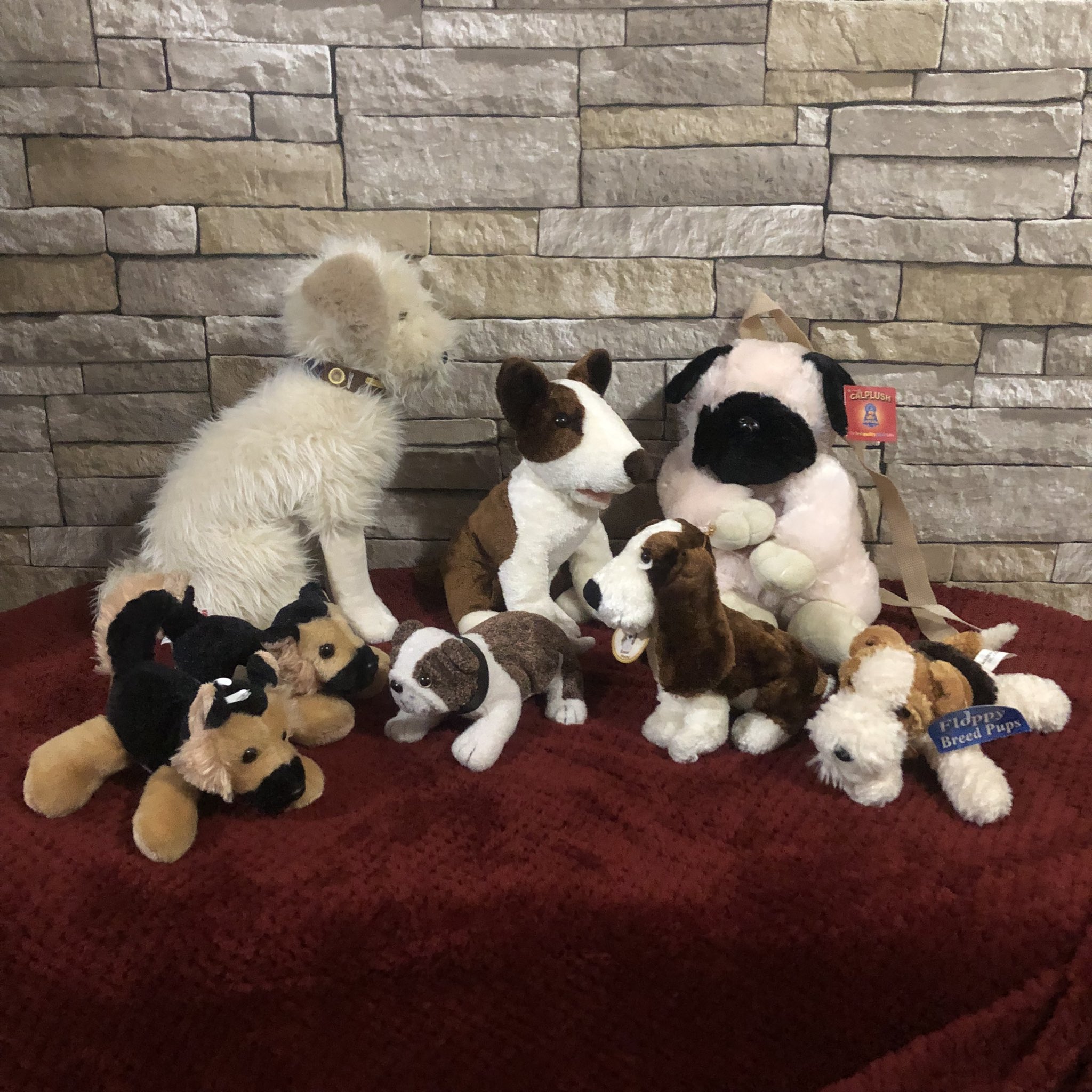 Calplush prices sale