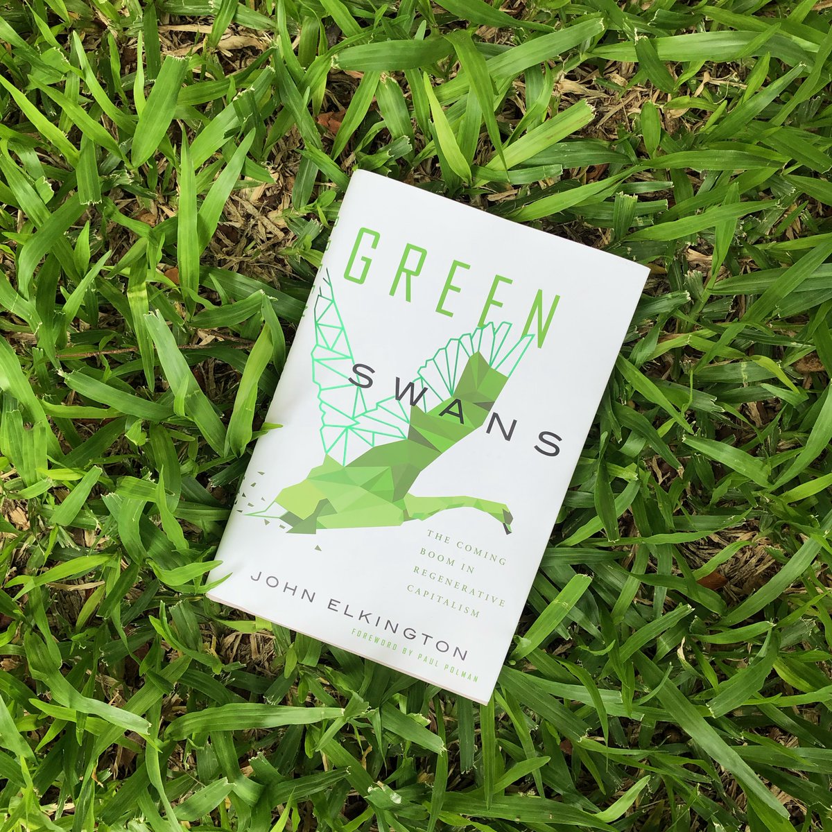 Thiago Friedrich tweet media