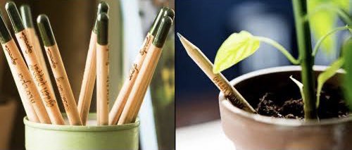 𝕃𝕚𝕧𝕚𝕟𝕘 𝔾𝕣𝕖𝕖𝕟 tweet media