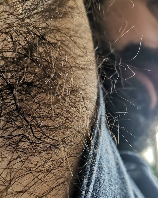 ursupetrus (@pedro_ledoux) on Twitter photo 