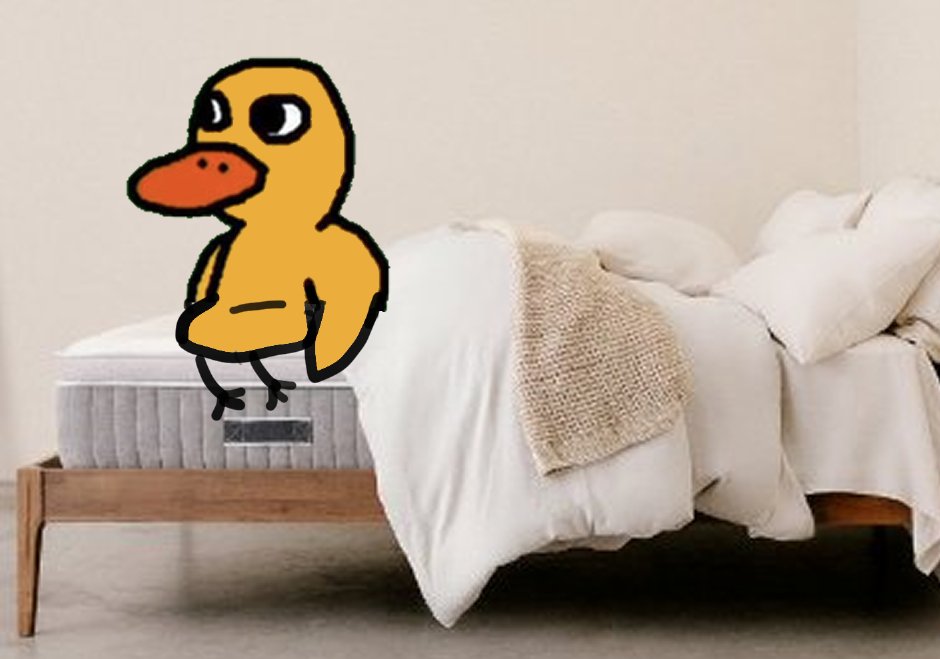 lemoduck's tweet image. its me and good morning everyone im kinda back