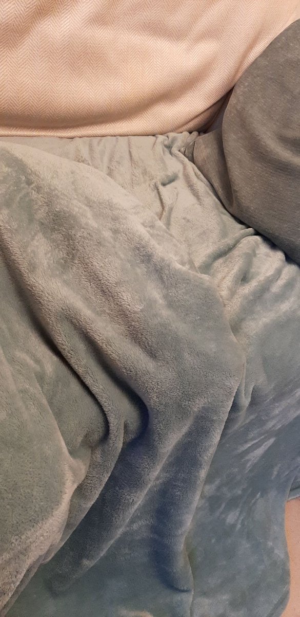 becca_g_p's tweet photo. I didnt realise and nearly sat down, but then it moved. It then heard me laugh and now there is a purring lump in the sofa.
#AdoptDontShop #CatsOfTwitter #cat #CatsofTwittter #gingercat #CatsOnTwitter #lastbraincell #whatisitaboutgingercats https://t.co/rpQxMOCCcM