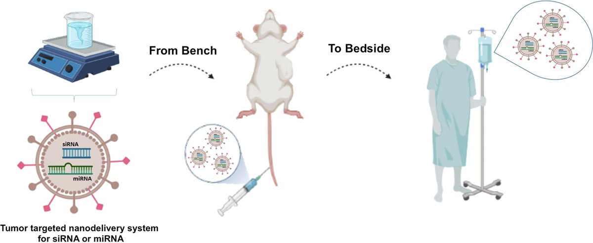 ADDR in press: "RNAi-based therapeutics and tumor targeted delivery in cancer"
By Bulent Ozpolat &amp; coworkers <a href="/MDAndersonNews/">MD Anderson Cancer Center</a> 
#RNAi #RNAtherapeutic #targeteddelivery 
doi.org/10.1016/j.addr…