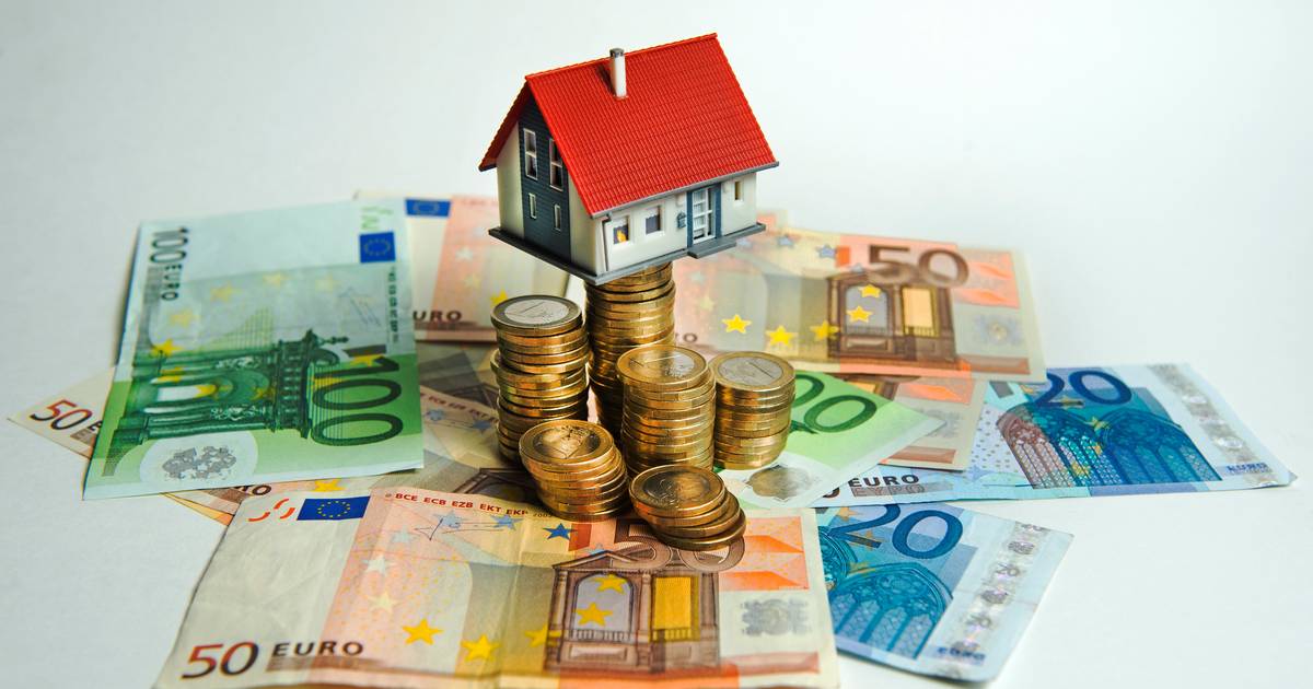 VVD Hillegom tweet media