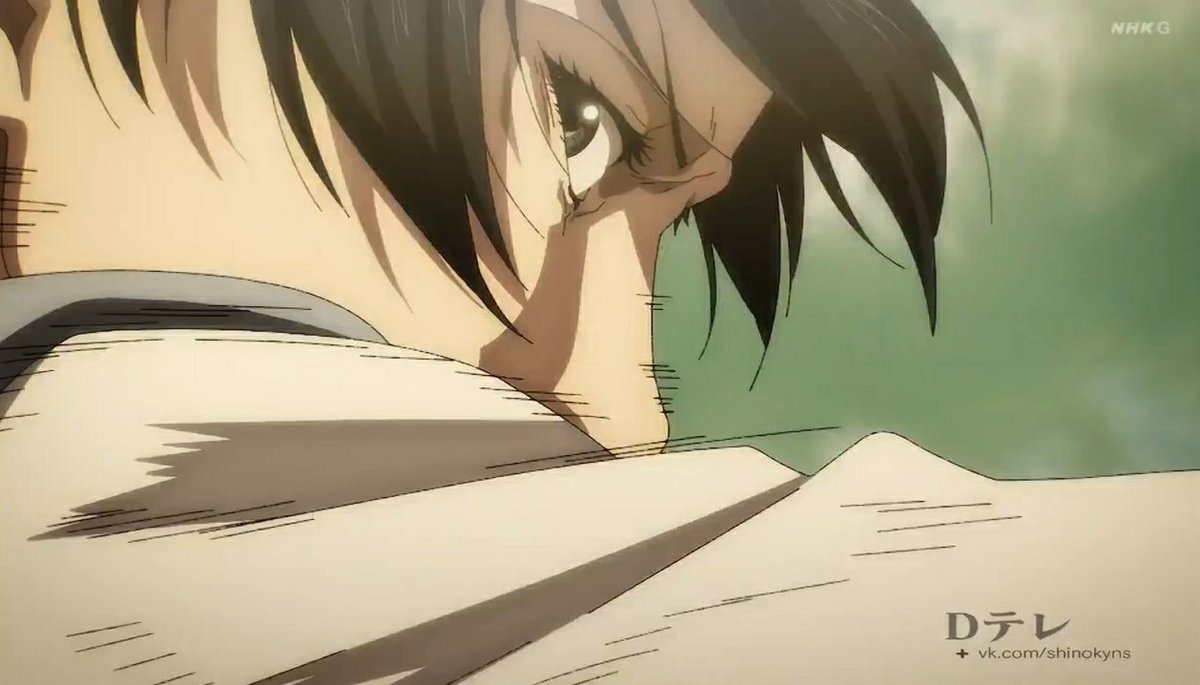 mikasa gallery tweet media