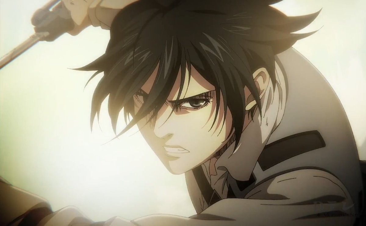 mikasa gallery tweet media