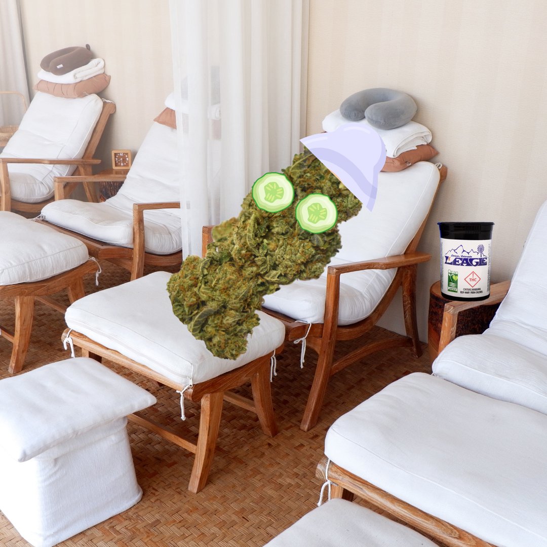 Sunday self care just got even easier with our new delivery service! Sit back, relax and we will come to you. 
#LeagleLife #SelfCareSunday #DayAtHome #ColoradoCannabis #OnlineOrder #CleanGreen #DispensaryLife #DeliveryMadeEasy #ExploreDenver #CannabisCommunity #StayElevated