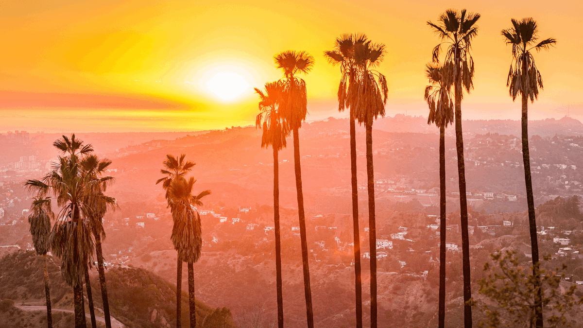 LACity's tweet photo. Happy Sunday, Los Angeles! #SnapshotSunday https://t.co/SxXjNeQNIL