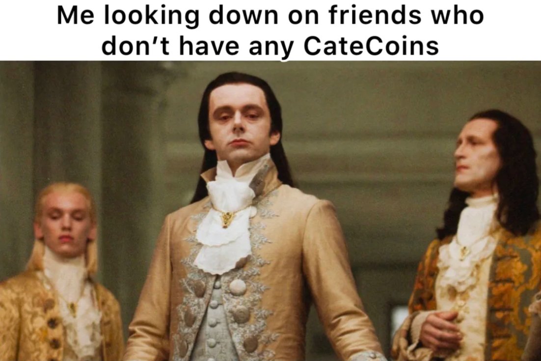 catecoin's tweet photo. #catecoin 🐱 https://t.co/wIbVF6nih8
