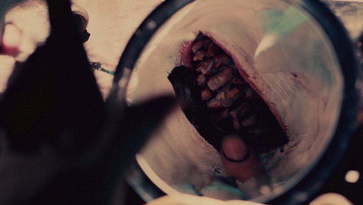 apostIIe's tweet image. terrifier (2016)